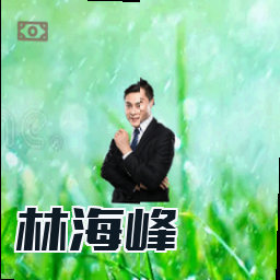 林海峰